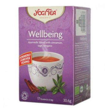 CEAI STARE DE BINE 17pl ECO-BIO - Yogi Tea