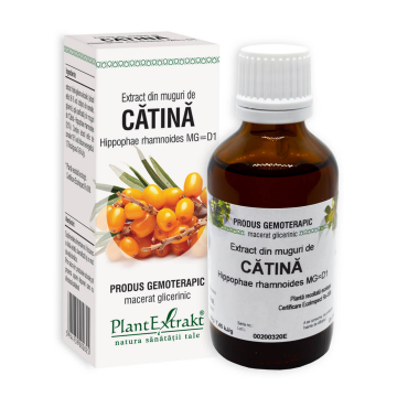 Extract din muguri de Catina, 50 ml, Plant Extrakt