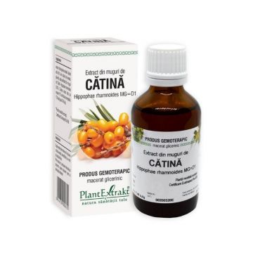 Extract din muguri de CATINA, 50 ml Extract din muguri de CATINA, 50 ml