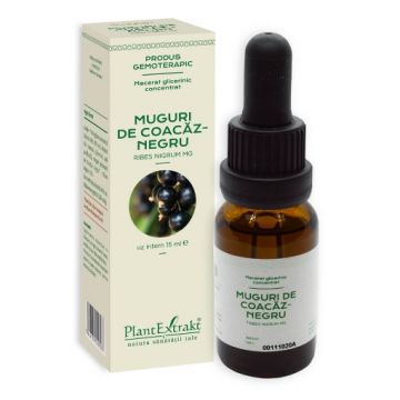 plantextrakt concentrat muguri coacaz negru 15ml