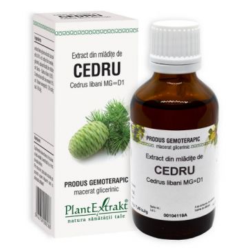 plantextrakt extract mladite cedru 50ml