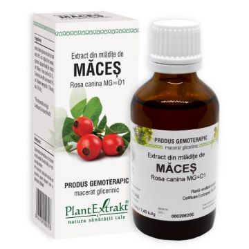 plantextrakt extract mladite maces 50ml