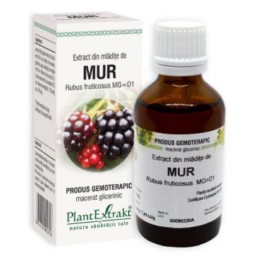 plantextrakt extract mladite mur 50ml