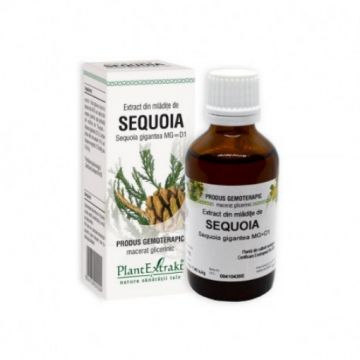 plantextrakt extract mladite sequoia 50ml
