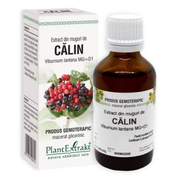 plantextrakt extract muguri calin 50ml