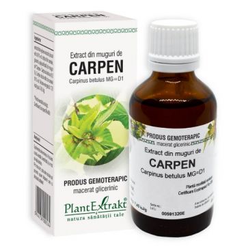 plantextrakt extract muguri carpen 50ml