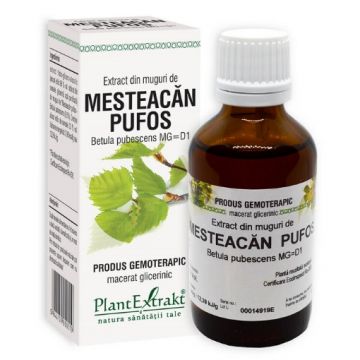 plantextrakt extract muguri mesteacan pufos 50ml