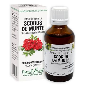 plantextrakt extract muguri scorusi munte 50ml