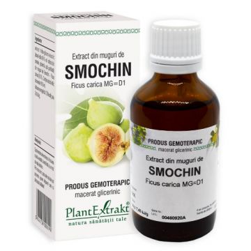 plantextrakt extract muguri smochin 50ml