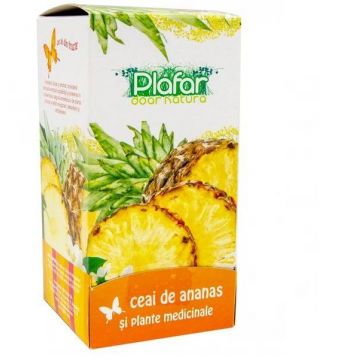 Ceai de ananas si plante medicinale Premium, 20 plicuri - Plafar
