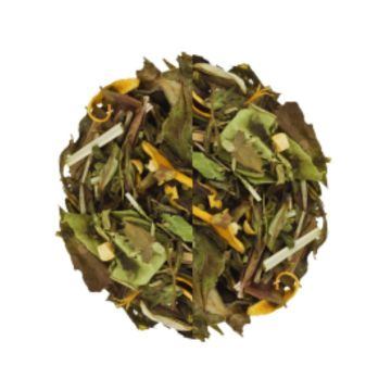 Ice Tea Citrus & Ginger (Gramaj: 50g)
