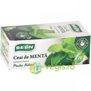 Ceai de Menta 20dz