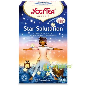 Ceai Star Salutation Ecologic/Bio 17 plicuri - 32.3g