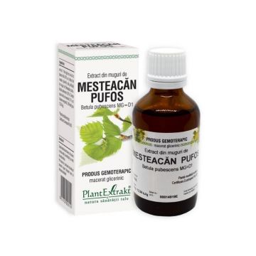 Extract din muguri de Mesteacan Pufos, 50 ml, Plant Extrakt