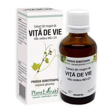 Extract din muguri de Vita de Vie, 50 ml, Plant Extrakt