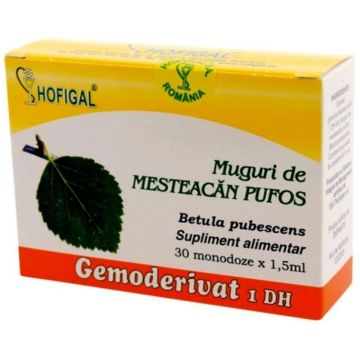 Gemoderivat muguri mesteacan pufos, 30 monodoze, Hofigal