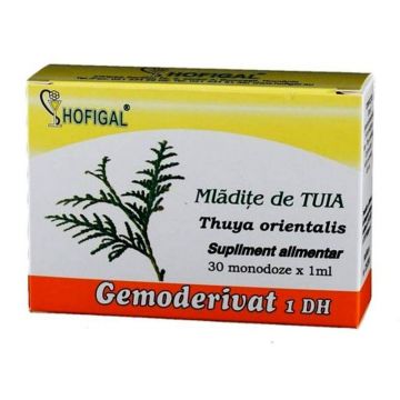 Mladite de Tuia, 30 monodoze, Hofigal
