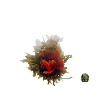 Sacred Flowers Sacred Flowers