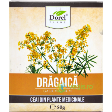 Ceai de Dragaica (Sanziene) 50g