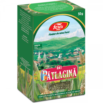 Ceai Patlagina (R41) 50g