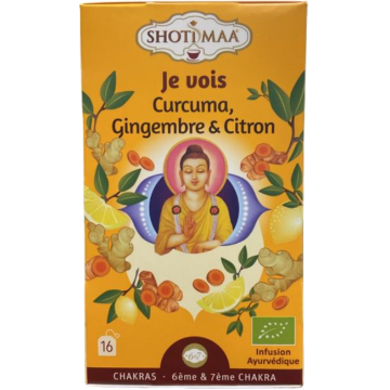 Ceai cu turmeric, ghimbir si lamaie Chakras Vision Bio, 16 plicuri, Shoti Maa