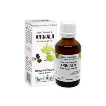 Extract din muguri de ARIN ALB, 50 ml
