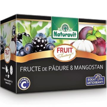 Ceai fructe padure mangostan Fantasy 15dz - NATURAVIT