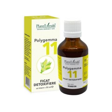 POLYGEMMA nr.11 Ficat, 50 ml