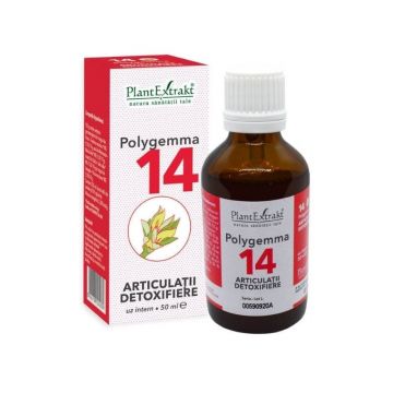 POLYGEMMA nr. 14 Articulatii, 50 ml