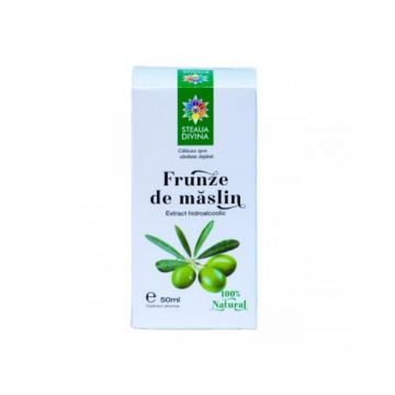 Tinctura de maslin, 50 ml, Steaua Divina