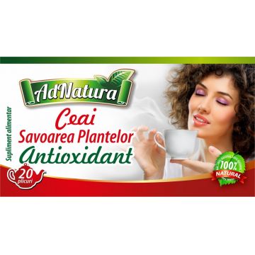 Ceai antioxidant Savoarea Plantelor 20dz - ADNATURA