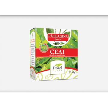 Ceai patlagina 50g - DOREL PLANT