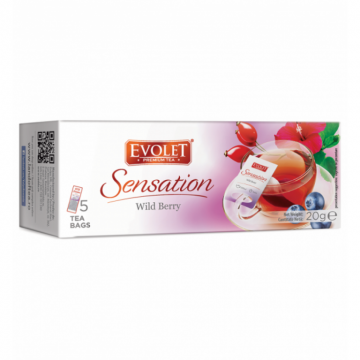 Ceai fructe padure Grandpack Sensation 5dz - EVOLET