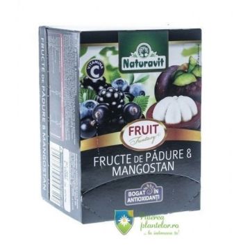 Ceai Fruit Fantasy Fructe de padure si Mangostan 15 dz*2 gr