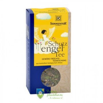 Ceai Inger pazitor Eco Ceai de Mirodenii 80 gr