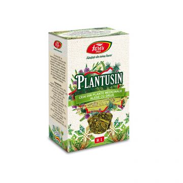 Ceai Plantusin, 50g, Fares