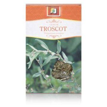 Ceai Troscot 50g - Stef Mar
