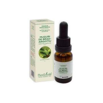 Concentrat Muguri brad, 15 ml Concentrat Muguri brad, 15 ml