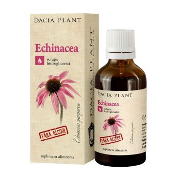 DACIA PLANT Extract Echinacea fara alcool, 50 ml