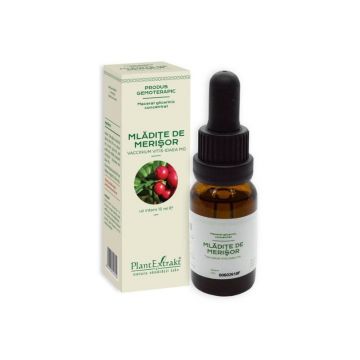 Extract Concentrat din mladite de MERISOR, 15 ml Extract Concentrat din mladite de MERISOR, 15 ml