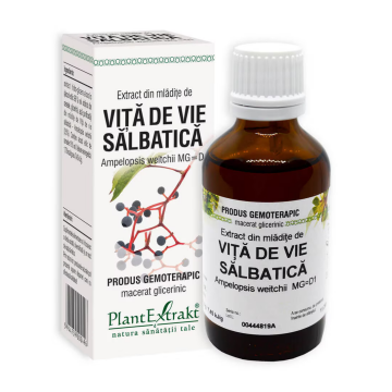 Extract din mladite de Vita de Vie Salbatica, 50 ml, Plant Extrakt
