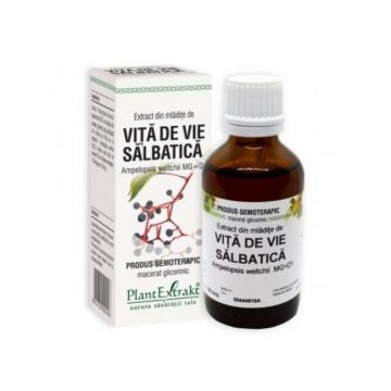 Extract din mladite de VITA DE VIE SALBATICA, 50 ml