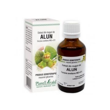 Extract din muguri de ALUN, 50 ml Extract din muguri de ALUN, 50 ml