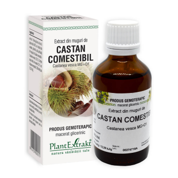 Extract din muguri de Castan comestibil, 50 ml, Plant Extrakt