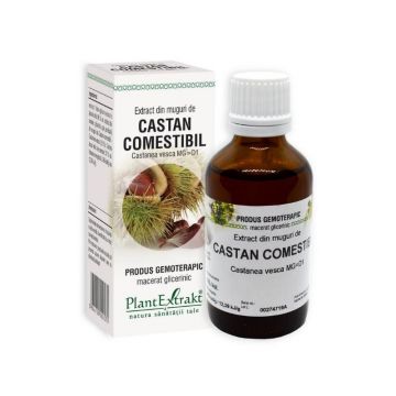 Extract din muguri de CASTAN COMESTIBIL, 50 ml Extract din muguri de CASTAN COMESTIBIL, 50 ml
