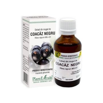 Extract din muguri de COACAZ NEGRU, 50 ml Extract din muguri de COACAZ NEGRU, 50 ml